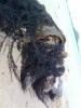 Mes images
