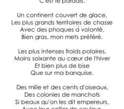 Poésie CE2 : « L’ours blanc » (Louise Duty)