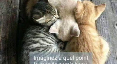 Chalut du 17 avril !