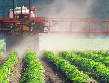 Les conséquences dramatiques des produits phytosanitaires.