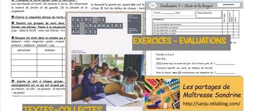 Faire de la grammaire au CE2, Picot