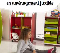 Les plantes en classe 