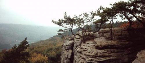 Ma photo préférée du 2 mars