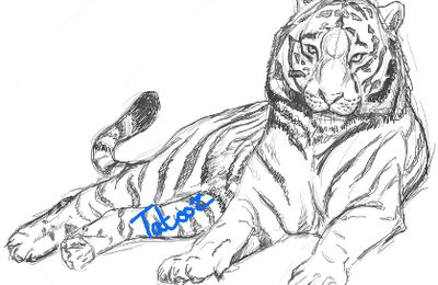 Un cadeau pour ma maman: Le tigre blanc