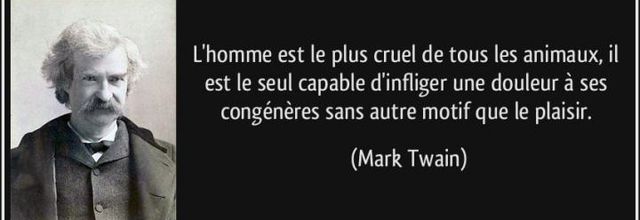 Les mots blessent autant que les coups!