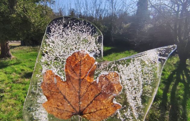 La feuille emprisonnée