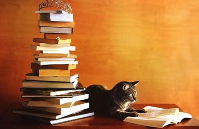 Lectures en 2023 (88 livres lus)