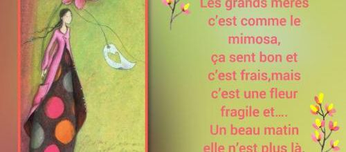 Les grands-mères mimosa