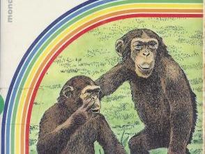 Comment les animaux communiquent-ils ? (Jean-Michel Mazin)