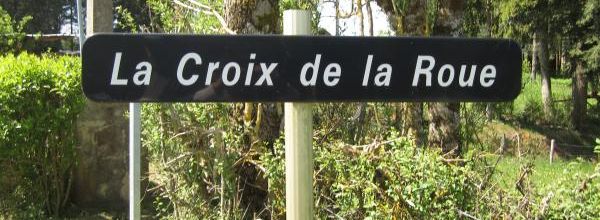 Les fleurs de la campagne..