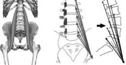14 postures de yoga pour l’ouverture du bassin