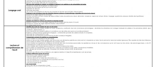 PROGRAMMATION D’ECOLE CP