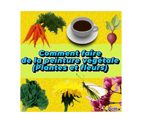 Dessin et peinture - vidéo 4503 : Comment faire de la peinture végétale liquide naturelle (Plantes et fleurs) ? - aquarelle.