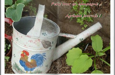 Plante vertueuse "l'ortie" !