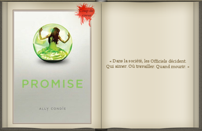 « Promise [01] » d'Ally Condie