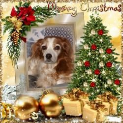 "Mes" cartes de Voeux 2024