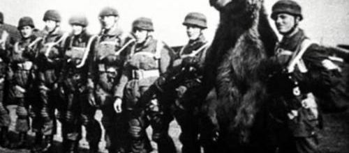 Wojtek , l'ours soldat