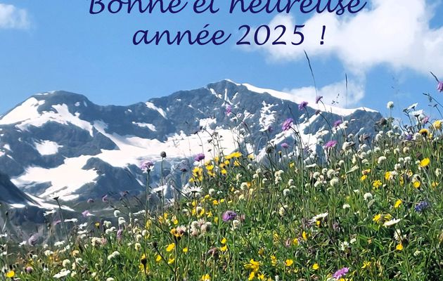 Bonne année