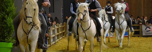 Salon International de l'Agriculture 2015 : Le Camarguais