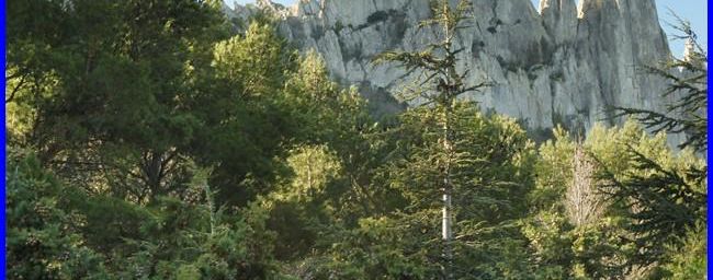 Monts de Gigondas, la Dent du Turc