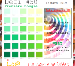 50 nuances pour un anniv !!!