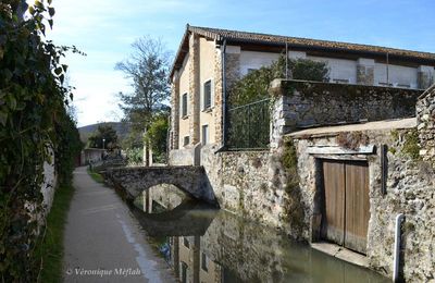 Ville de Chevreuse : La promenade des Petits Ponts ou "La rivière aux tanneurs"