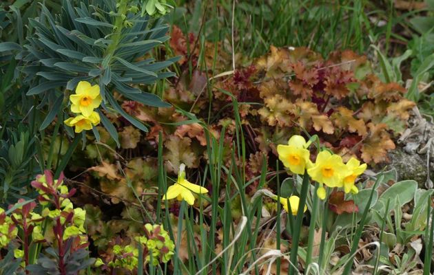 DU BLEU, DU ROSE, DU JAUNE, LES PROMESSES DU PRINTEMPS