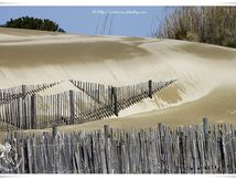 Plage de l'Espiguette