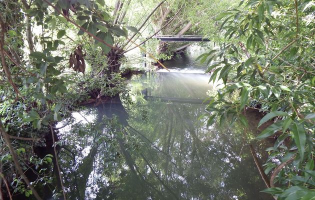 reflets à Saint Jean d'Angély 17