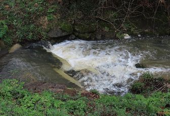 le lavoir de mon village (33)