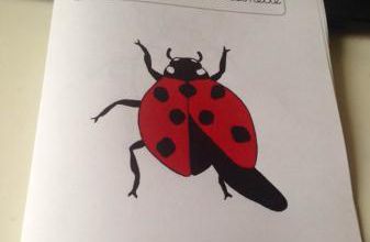 Mon livret de la coccinelle 