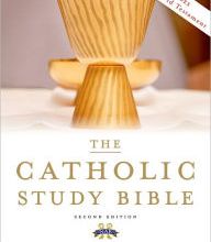 Free books text download Catholic Study Bible by Donald Senior (English literature) 9780190267230