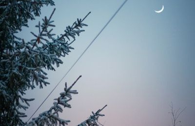 Au petit matin