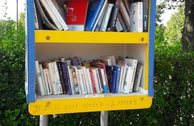 La cabane à livres de Moutiers-haut
