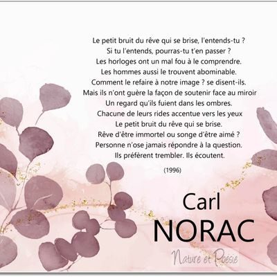Instant poésie du 16 juillet