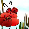 Coccinelle et coquelicot
