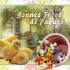 Bonnes Fêtes de Pâques