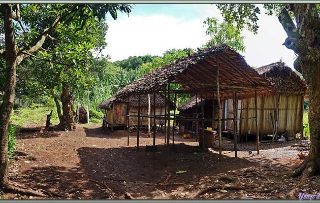 Dans la "banlieue" d'Antanabe (Antanambe) - Nosy Sakatia - Madagascar