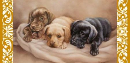 Entrainement au Château