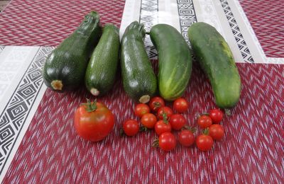 Tian de Courgettes, Tomates, Poivrons,Oignons
