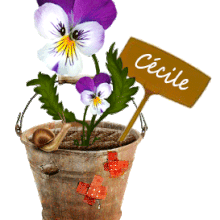 760 - pensées, floral, signature, gif anime