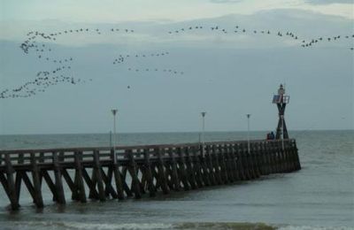 La randonnée du 9 octobre à Courseulles-sur-mer