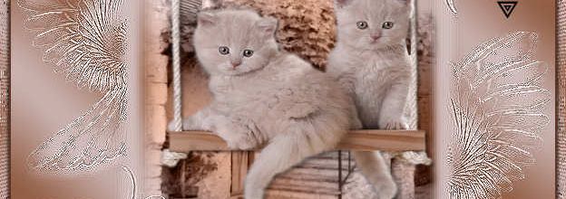 BON MERCREDI MES AMIS ES