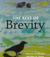 Online Read Ebook The Best of Brevity: Twenty Groundbreaking Years of Flash Nonfiction