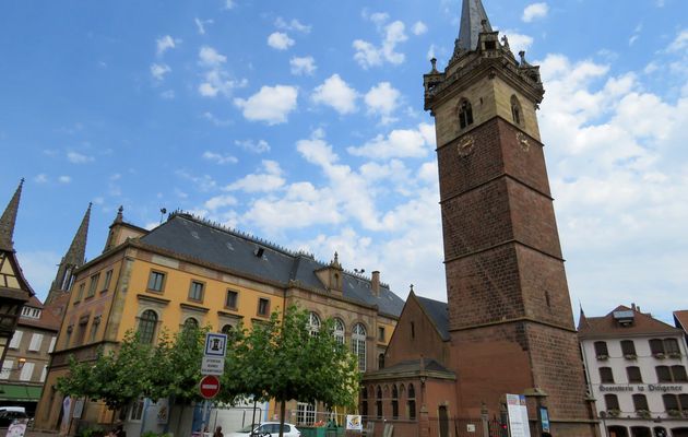 Fin de la visite d'Obernai  -3