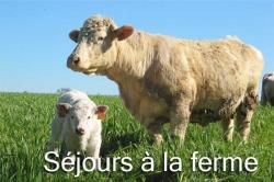 Vacances à la ferme.