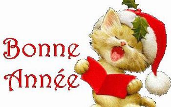 Bonne année 2012