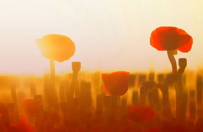 Printemps du poète