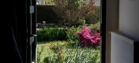 En mode confinement- 2 : le jardin jaune et rose