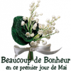 Un petit brin de Muguet pour toi !